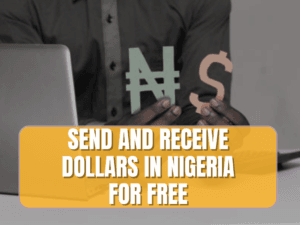 Read more about the article Steps to Send and Receive Dollars in Nigeria for FREE