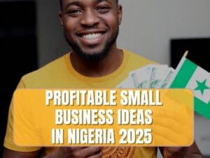Read more about the article 15 Best Small Business Ideas In Nigeria 2025