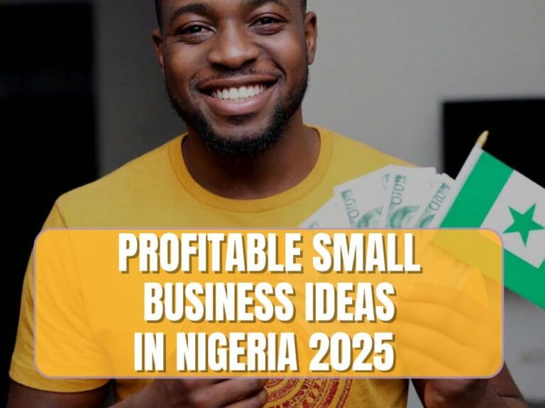 business ideas in Nigeria