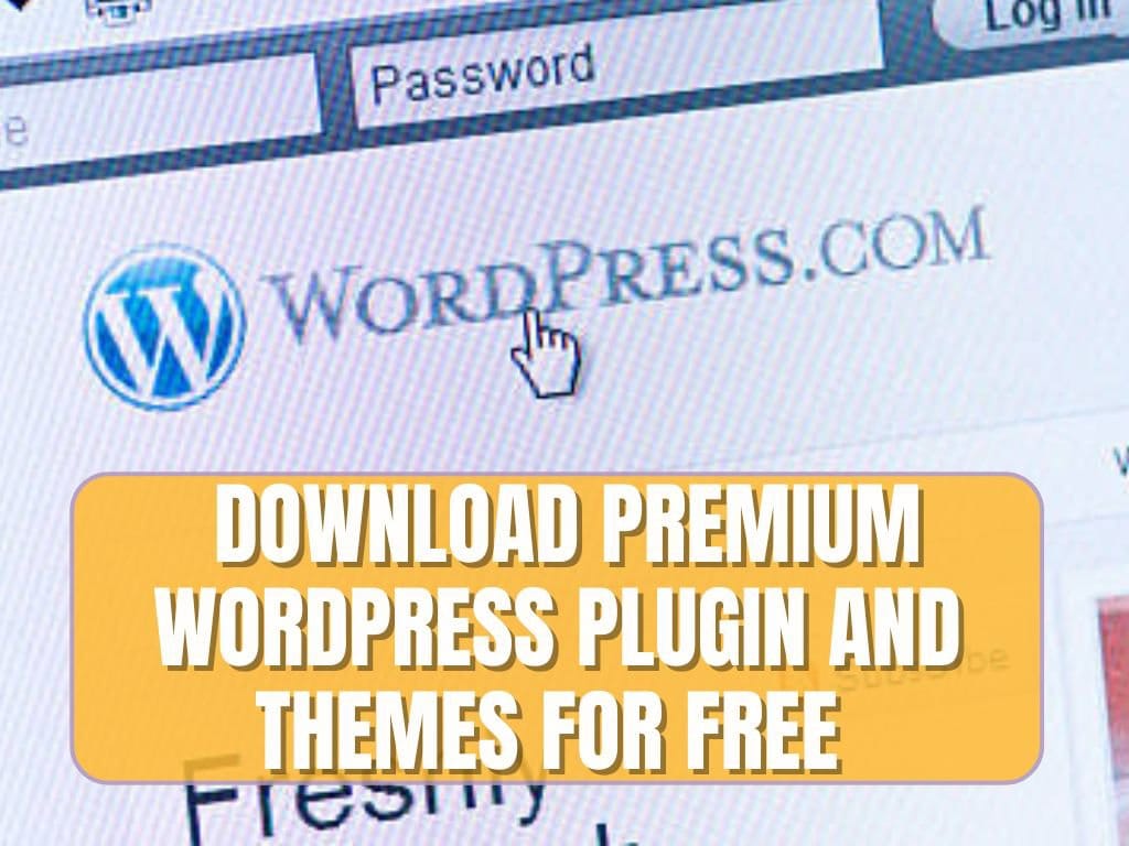 premium WordPress plugins and themes in Nigeria