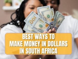Read more about the article 9 Ways To Earn US Dollars From Home As A South African
